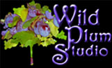 wild_plum_studio_logo